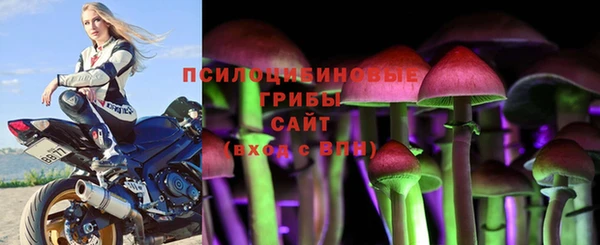 spice Абинск