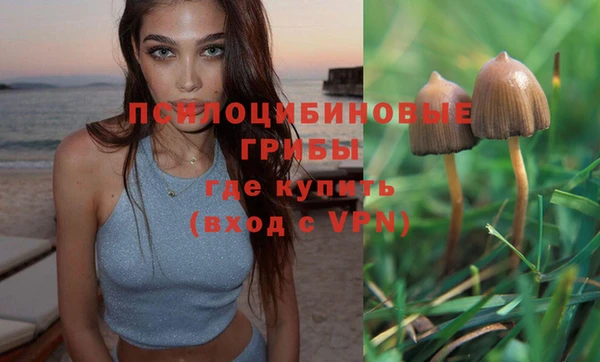 spice Абинск