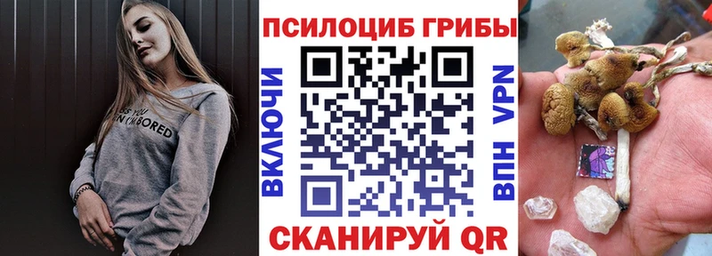 Галлюциногенные грибы Cubensis  Ржев 